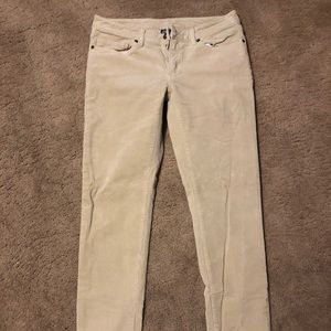 Patagonia Women’s fitted corduroy pant